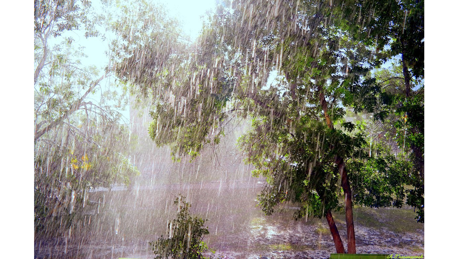 Дождик ласково
